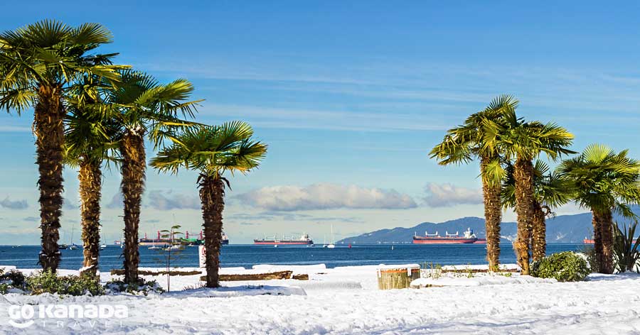 Palms in Snow English Bay Vancouver Canada